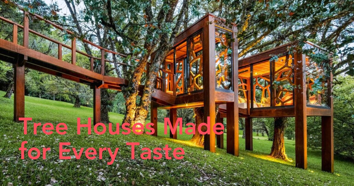 Découvrez le livre moderne sur les cabanes dans les arbres de TASCHEN « Architecture Where Trees Climb »